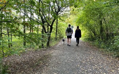 Walking trails at Roadford Lake