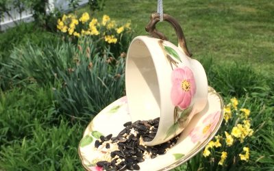 Feed the birds! How to make a simple bird feeder