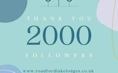 Thank you 2000 followers