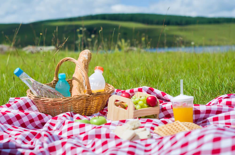 Picnic Tips & Ideas