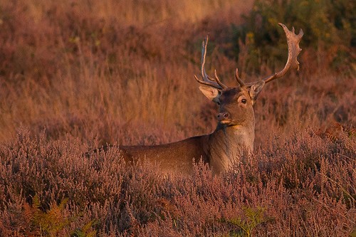 Discover Devon each season