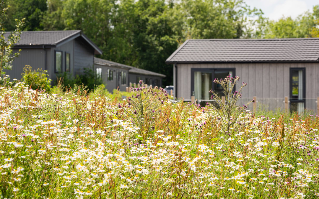 Revel in Relaxation: The Joys of Owning a Holiday Lodge in Devon